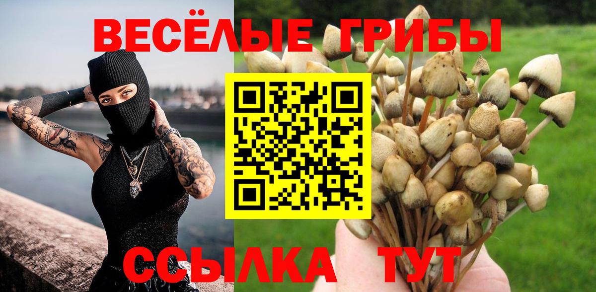 Холмск  закладки  Галлюциногенные грибы MAGIC MUSHROOMS  Вход с VPN  Псилоцибиновые грибы прущие грибы 